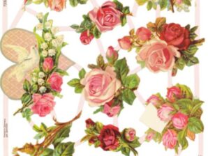 Kiiltokuva-arkki, Ruusuja