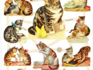 Kiiltokuva-arkki, Kissoja