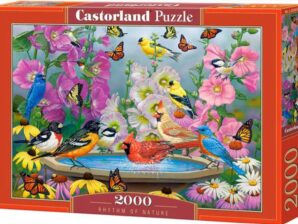 Palapeli Rhythm of nature, 2000 palaa - Castorland