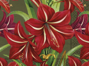 Lautasliinat, Amaryllis - Sköna Ting